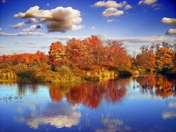 Poconos fall foliage